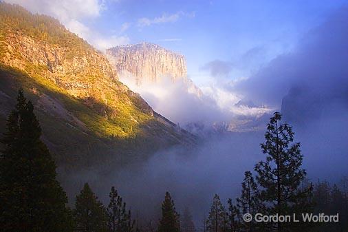 Yosemite Valley_22849.jpg - Photographed in Yosemite National Park, California, USA.